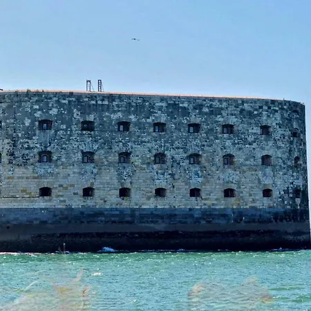 Pet Friendly In Apartman